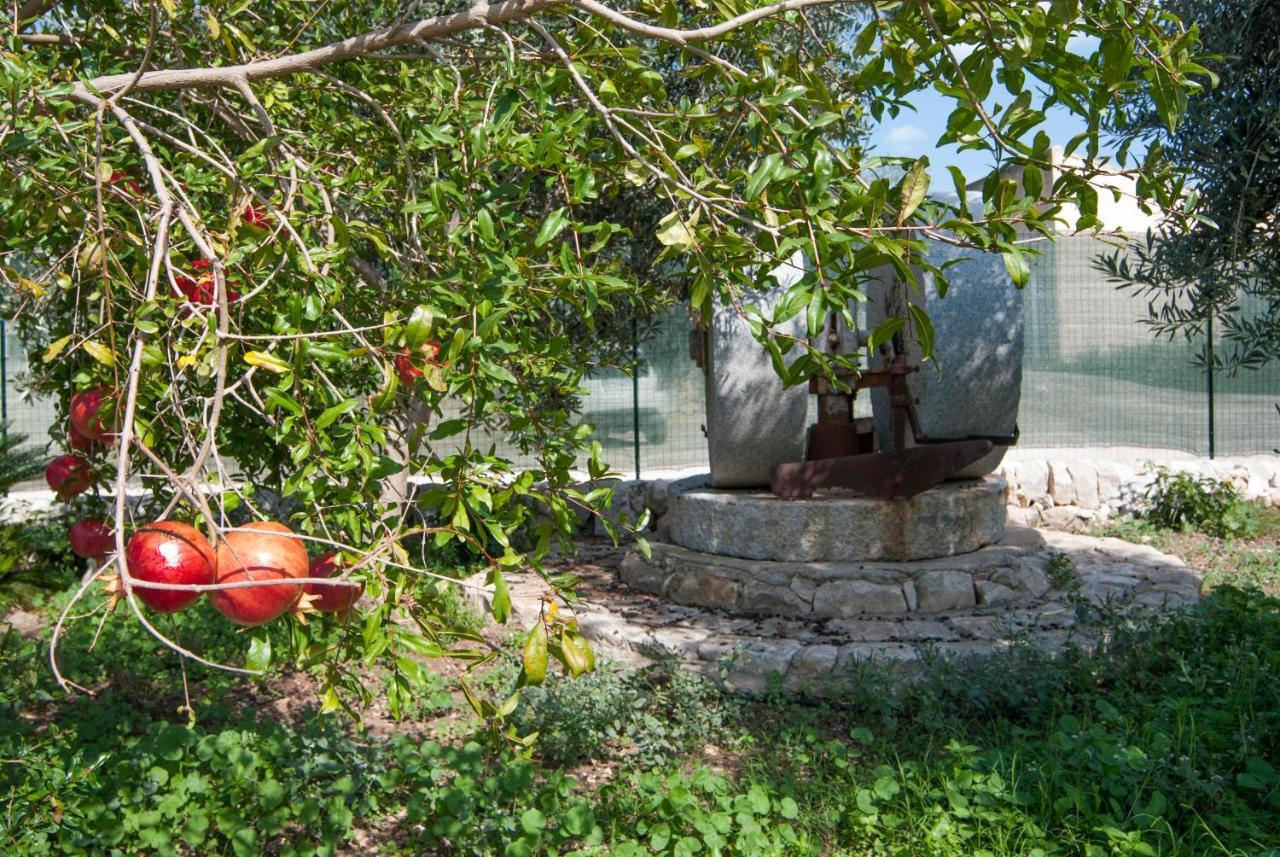 Agriturismo Al Casale Donnafugata Exterior foto